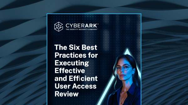 The Six Best Practices for Executing an Effective and Efficient UAR